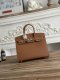 Hermes Birkin 25 Epsom Handbag in Golden Brown