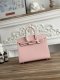 Hermes Birkin 25 Epsom Handbag in Mauve Pale