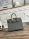 Hermes Birkin 25 Epsom Handbag in Gris Meyer