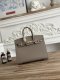Hermes Birkin 25 Epsom Handbag in Etoupe