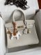 Hermes Birkin 25 30 35 Epsom Handbag in White