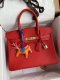 Hermes Birkin 25 30 35 Epsom Handbag in Rouge