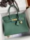 Hermes Birkin 25 30 35 Epsom Handbag in Vert Vertigo
