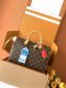 Louis Vuitton Speedy Soft 30 Dark Bag Replica