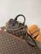 Louis Vuitton Speedy Trunk Bag Replica