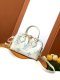 Louis Vuitton Speedy Bandouliere 20 Bag Replica