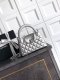 chanel 25a Kelly Nano Bag sliver shiny lambskin sliver hardware